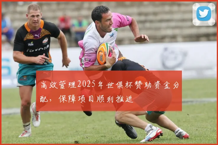 高效管理2025年世俱杯赞助资金分配，保障项目顺利推进