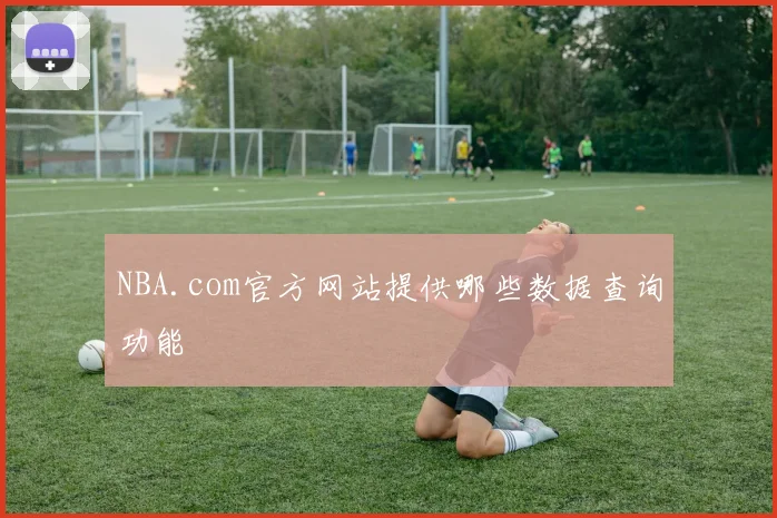 NBA.com官方网站提供哪些数据查询功能