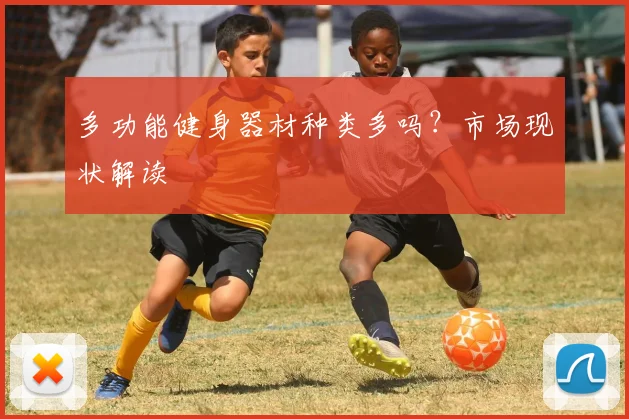 多功能健身器材种类多吗？市场现状解读