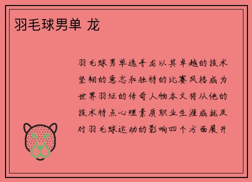 羽毛球男单 龙